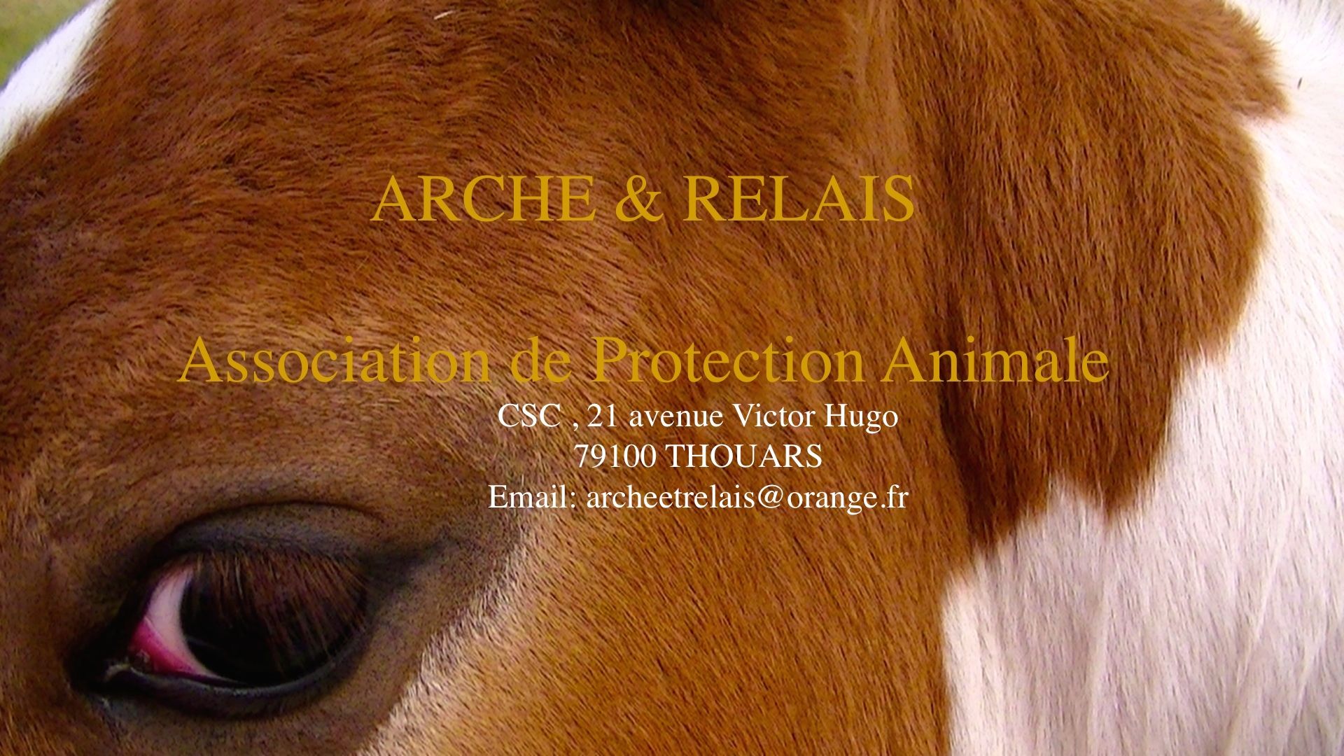 Collecte urgence foin ARCHE ET RELAIS